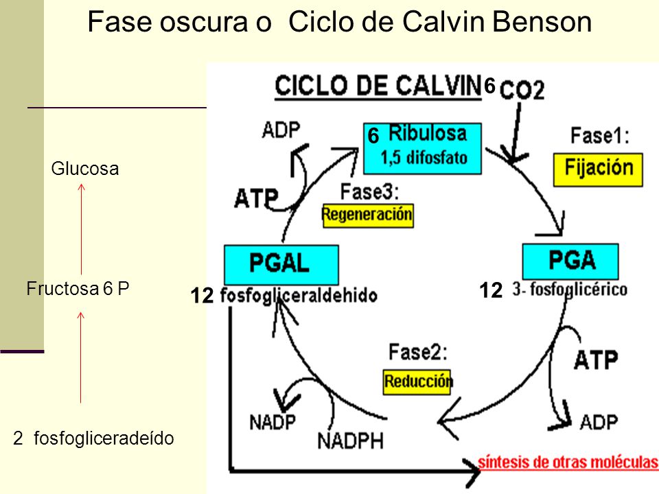 La energia oscura pdf merge